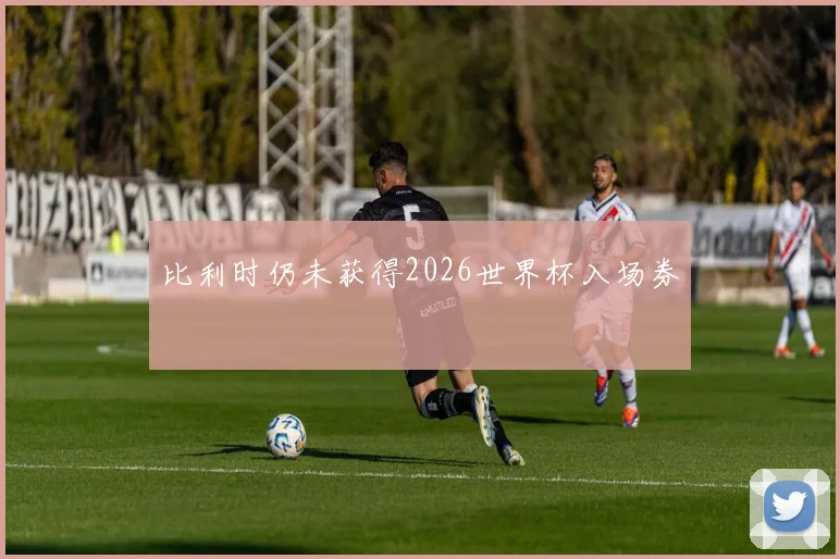 比利时仍未获得2026世界杯入场券